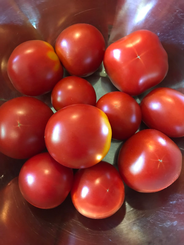 Leapfrog Farm tomatoes
